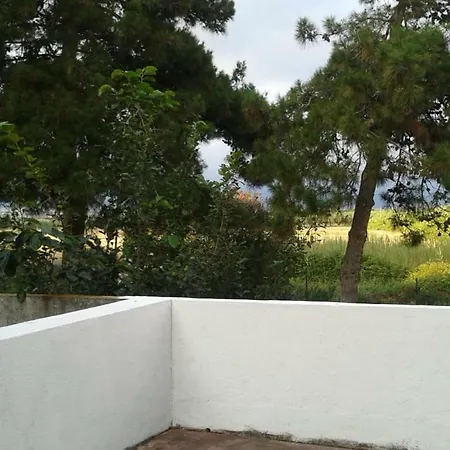 Del Golfo Daire